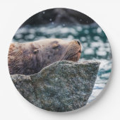 アラスカの復活の湾のアシカ ペーパープレート (正面)