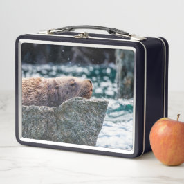 アラスカの復活の湾のアシカ メタルランチボックス