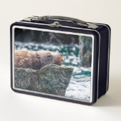 アラスカの復活の湾のアシカ メタルランチボックス (正面)