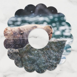 アラスカの復活の湾のアシカ ワイングラスタグ