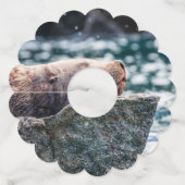 アラスカの復活の湾のアシカ ワイングラスタグ (正面)