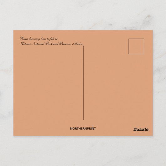 アラスカの母とクマの魚釣り ポストカード (裏面)