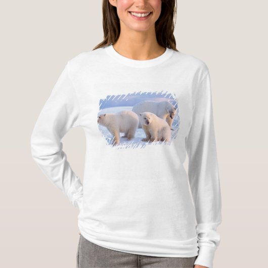 アラスカの沿岸部の流氷上の子連れのホッキョクグマ Tシャツ (正面)
