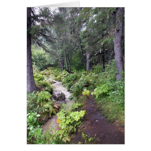 アラスカの流れ (正面)