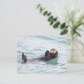 アラスカの浮き沈み ポストカード (スタンド正面)