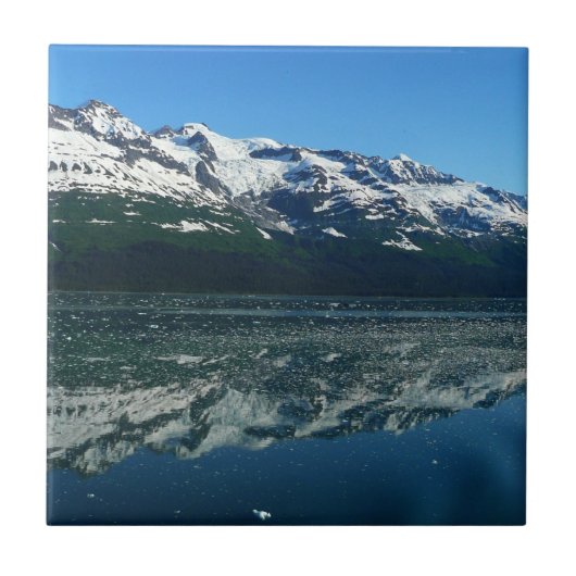 アラスカの海岸線 美しい自然写真 タイル (正面)