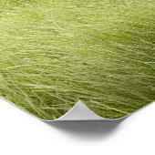 アラスカの海岸、グリズリーベア ポスター (角)