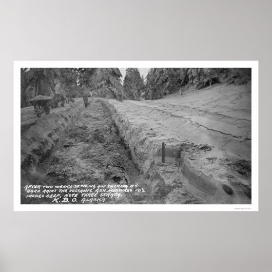 アラスカの火山灰1912 ポスター (正面)