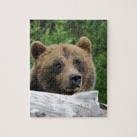 アラスカの灰色グマ、Kodiak ジグソーパズル (縦)