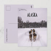 アラスカの犬ぞりチーム ポストカード (正面/裏面)