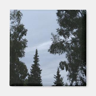 アラスカの空 マグネット