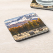 アラスカの農業 コースター (左側)