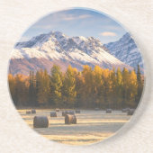 アラスカの農業 コースター (正面)