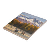 アラスカの農業 タイル (側面)