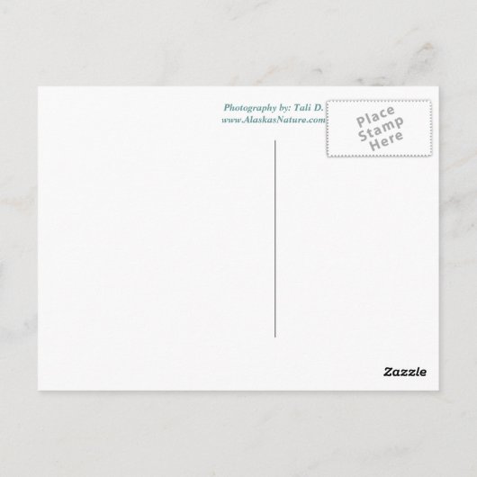 アラスカの郵便はがきにあなたのバッグを詰めて下さい ポストカード (裏面)