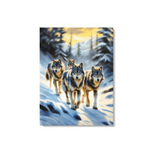 アラスカの野生のオオカミ