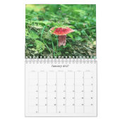 アラスカの野生のキノコ – スモールカレンダー カレンダー (1月 2027)