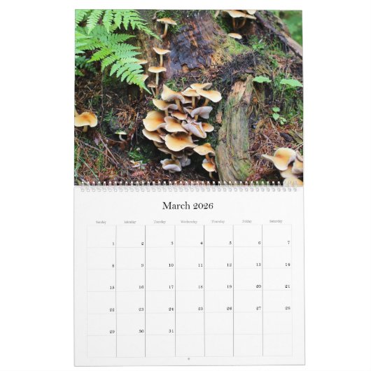 アラスカの野生のキノコ – 大きなカレンダー カレンダー (3月 2026)