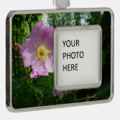 アラスカの野生のピンクのバラ シルバープレートフレームオーナメント (右)