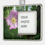 アラスカの野生のピンクのバラ シルバープレートフレームオーナメント (左)