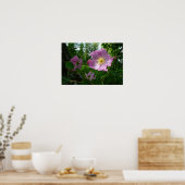 アラスカの野生のピンクのバラ ポスター (キッチン)