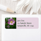 アラスカの野生のピンクのバラ ラベル (インサイチュ)