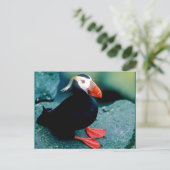 アラスカの野生動物 ポストカード (スタンド正面)