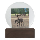 アラスカの雪の地球 スノーグローブ (裏面)