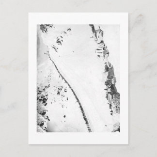 アラスカのKlondikers ポストカード