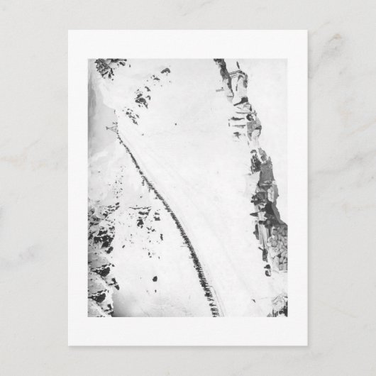 アラスカのKlondikers ポストカード (正面)