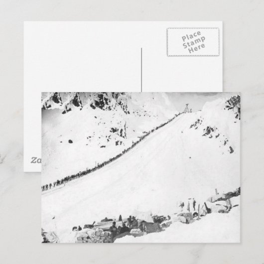 アラスカのKlondikers ポストカード (正面/裏面)