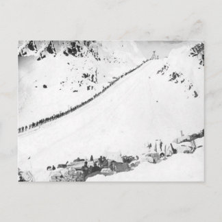 アラスカのKlondikers ポストカード