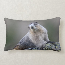 アラスカのmarmot ランバークッション
