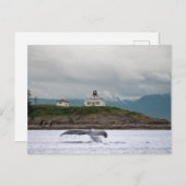 アラスカはがき ポストカード (正面/裏面)