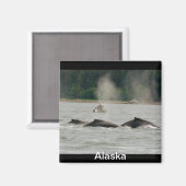 アラスカクジラ マグネット (正面/裏面)