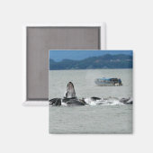 アラスカクジラ マグネット (正面/裏面)