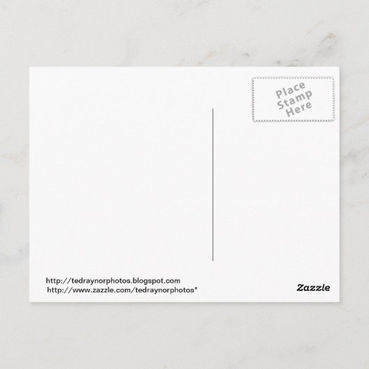 アラスカクールだ！ ポストカード (裏面)