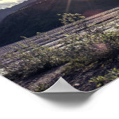 アラスカサンビーム |ポスター ポスター (角)