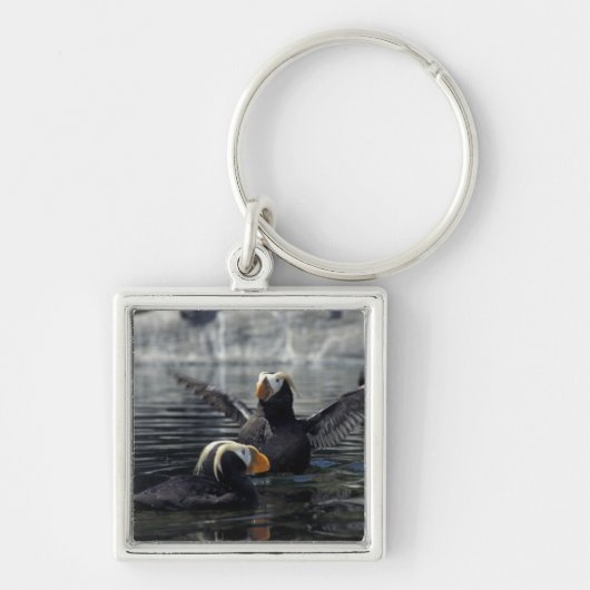 アラスカタフテッドパフィン キーホルダー (正面)