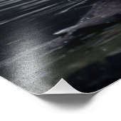 アラスカタフテッドパフィン フォトプリント            (角)