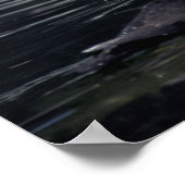 アラスカタフテッドパフィン ポスター (角)