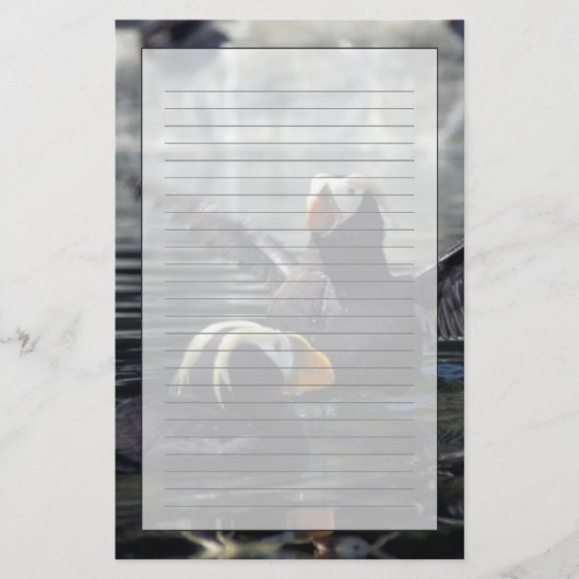 アラスカタフテッドパフィン 便箋 (正面)