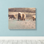 アラスカトゥンドラ(Alaska Tundra)グリズリーズ写真設計プリント キャンバスプリント (インサイチュ (ウッドフロア))