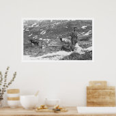 アラスカドッグチーム狩り1912 ポスター (キッチン)