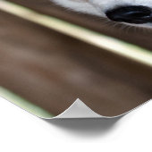 アラスカハスキー犬の美しいアートプリント ポスター (角)