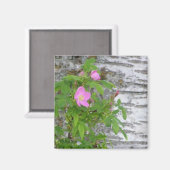 アラスカバラ#12 マグネット (正面/裏面)