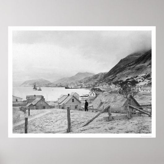 アラスカパノラマ1909 ポスター (正面)