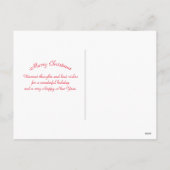 アラスカフロートプレーン風景写真クリスマス シーズンポストカード (裏面)