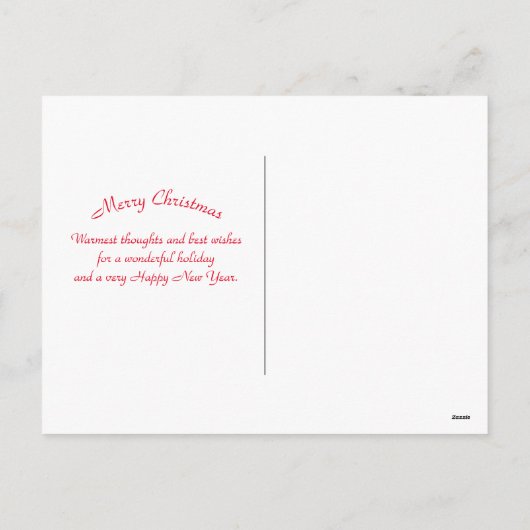 アラスカフロートプレーン風景写真クリスマス シーズンポストカード (裏面)