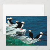 アラスカプフィンの羽のカラフル鳥 (正面/裏面)